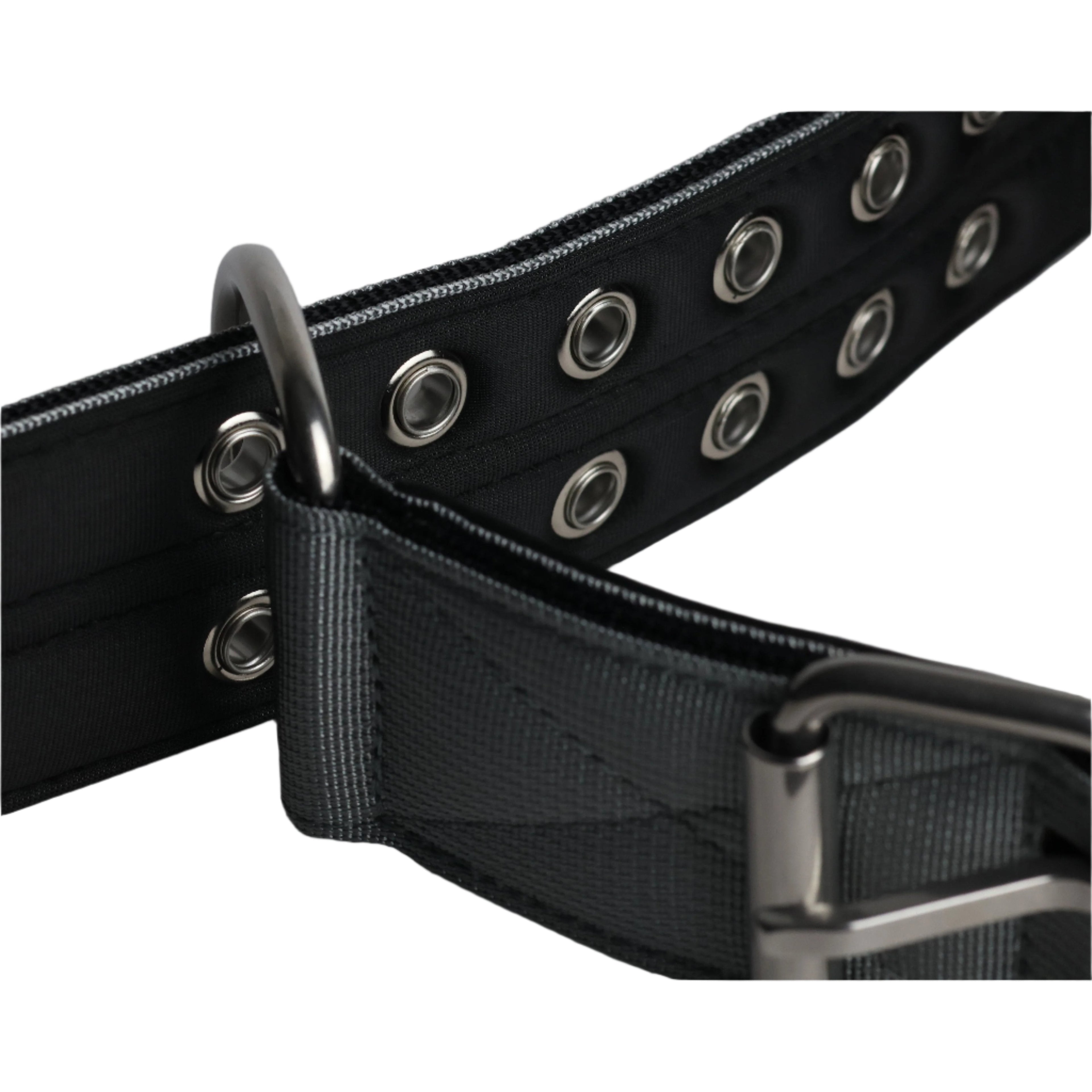 5cm Sport Collar Grey Dog Collar Medium Medium Large
