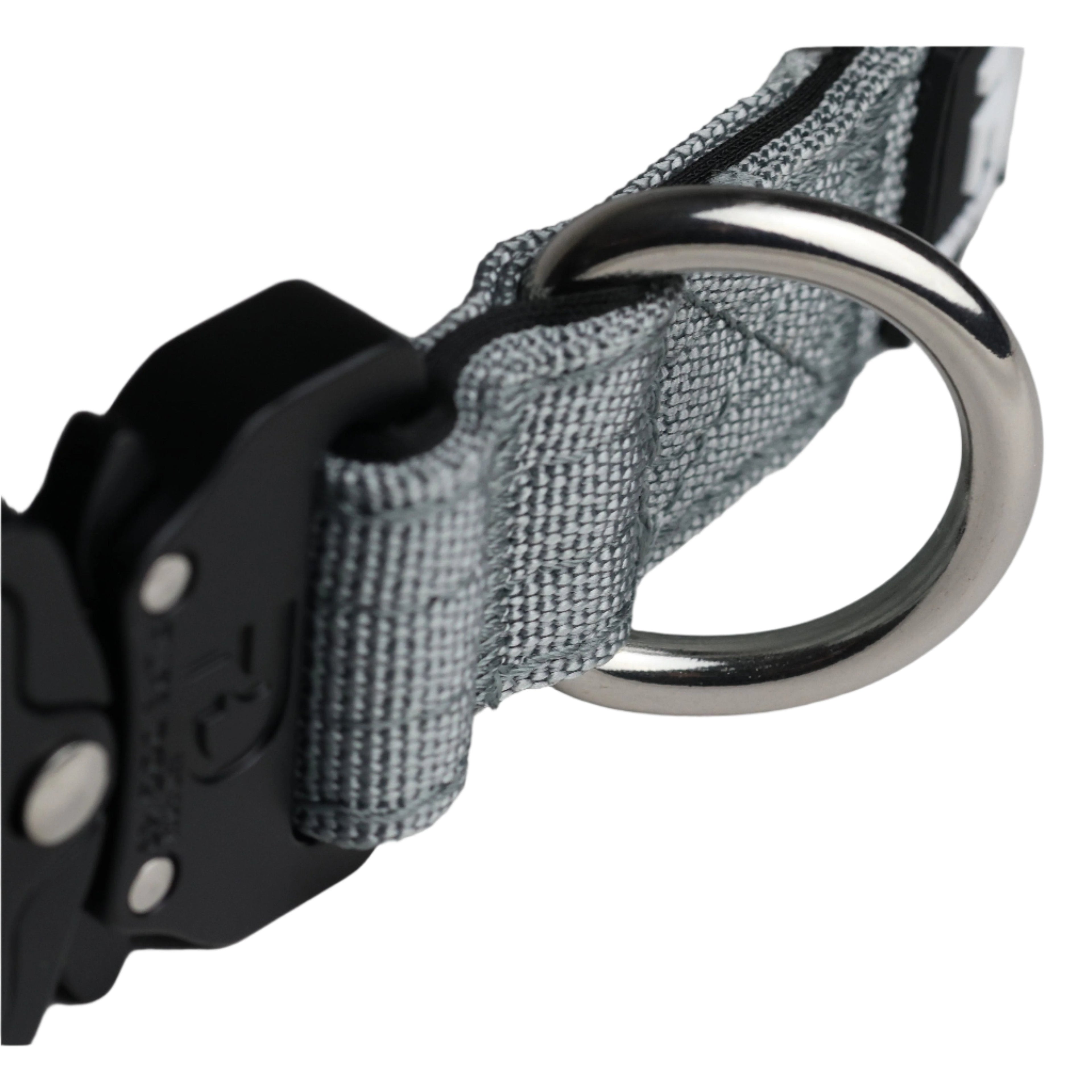 2.5cm Tactical Collar Grey Dog Collar Default Title Default Title