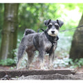 Mini Waterproof Harness Dog harness Small Small Medium