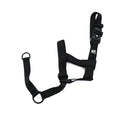 2.5cm Head Collars Dog Supplies Small Small Medium Large XL