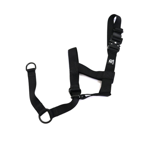 2.5cm Head Collars Dog Supplies Small Small Medium Large XL