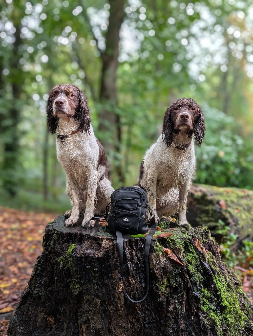 Tactical Dog Walking Bag with Poo Bag Dispenser - Fido's Trails Default Title Default Title