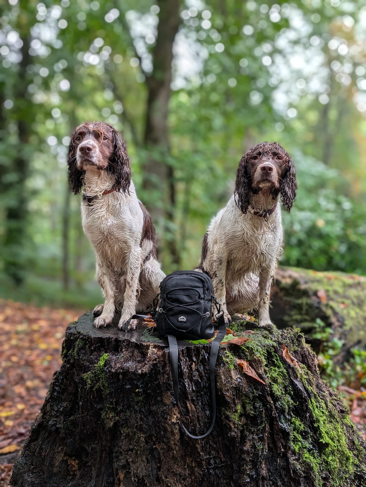 Tactical Dog Walking Bag with Poo Bag Dispenser - Fido's Trails Default Title Default Title