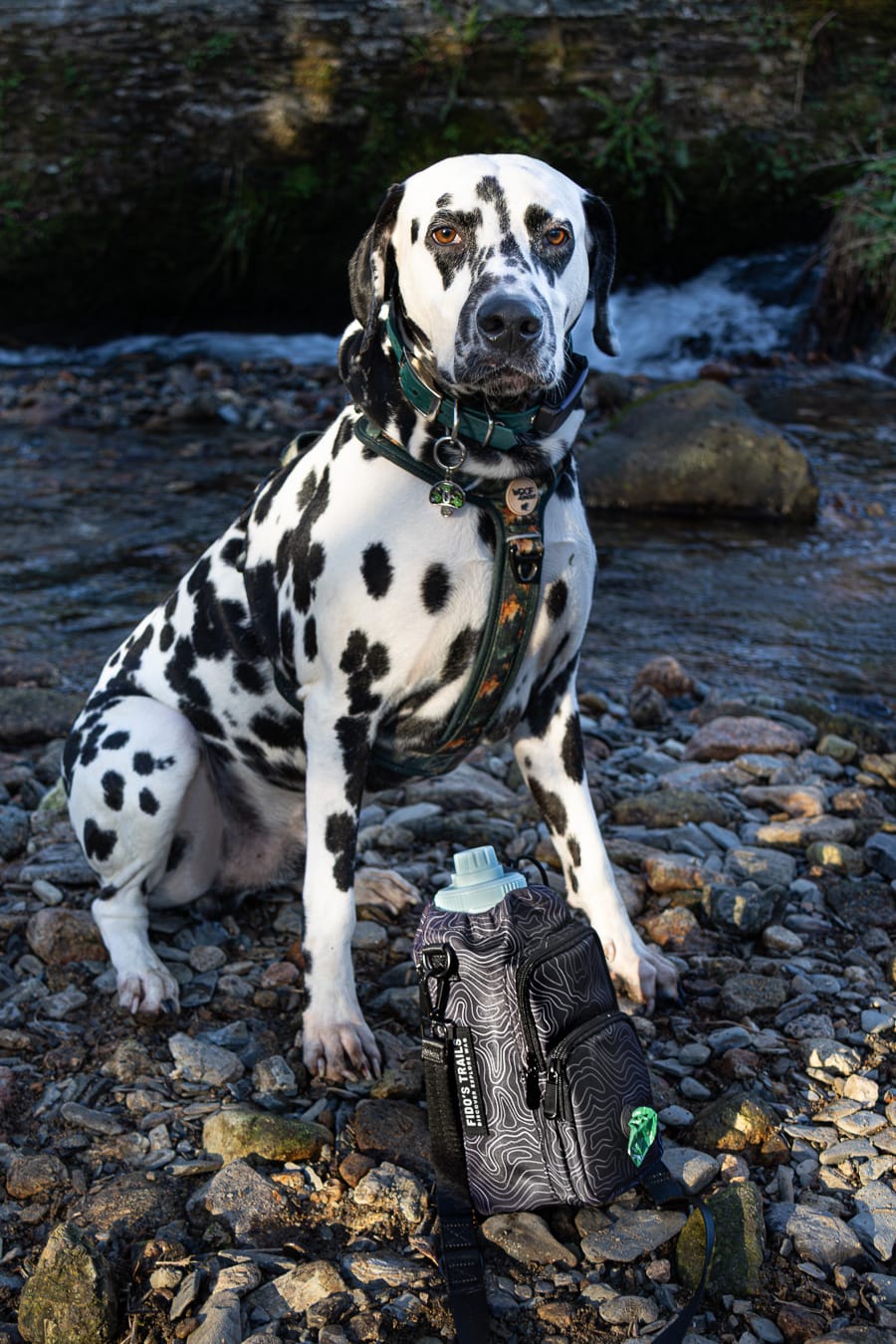 Contour Trail Bottle Bag – Crossbody Dog Water Bottle Bag Black Black Green Pink Blue Cream