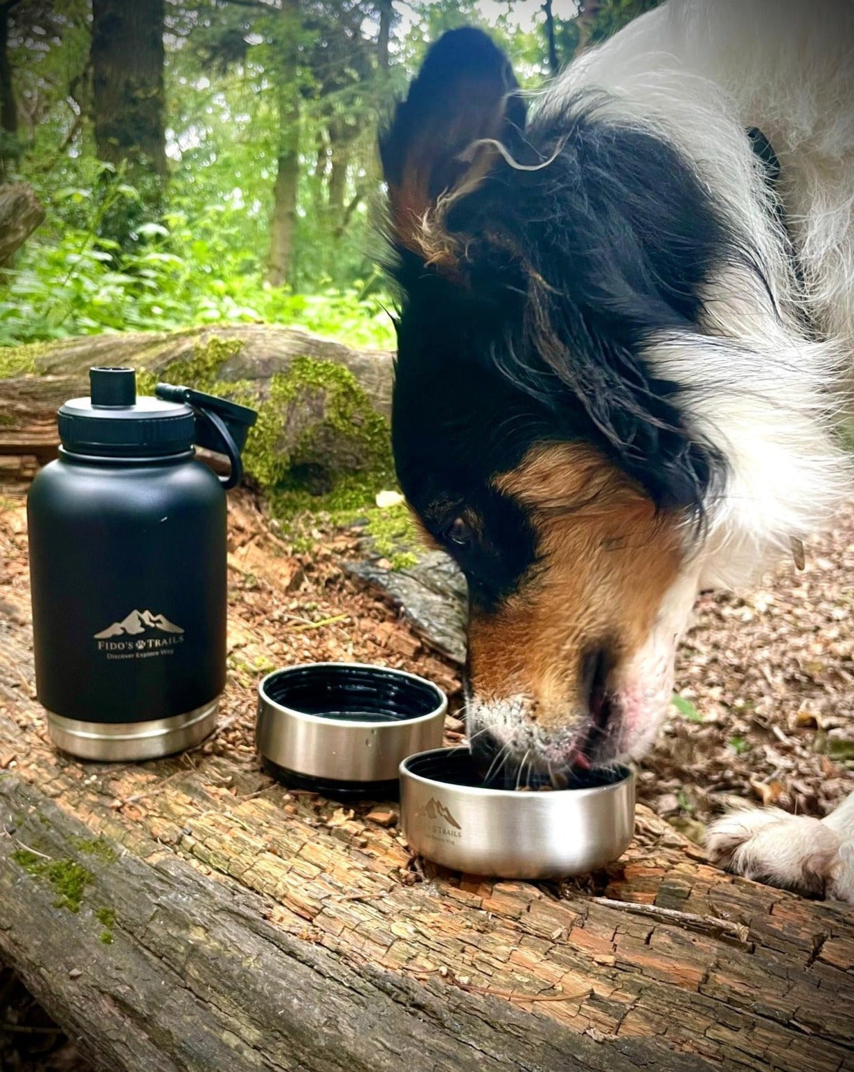 Fido's Trails 3-in-1 Water Bottle with Detachable Bowls – For Dogs & Owners, 1 Litre Black 3-in-1 Water bottle Black Black