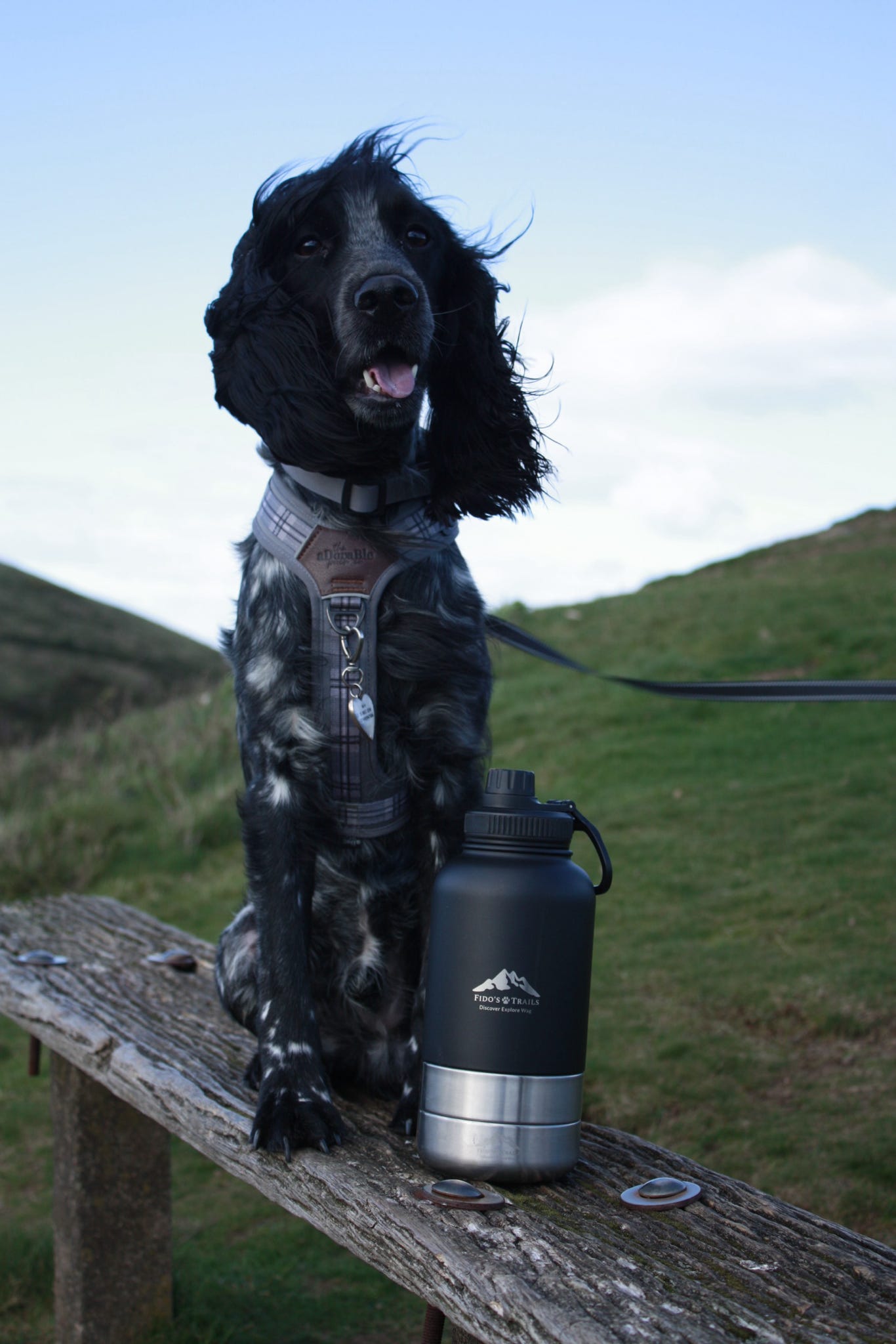 Fido's Trails 3-in-1 Water Bottle with Detachable Bowls – For Dogs & Owners, 1 Litre Black 3-in-1 Water bottle Black Black