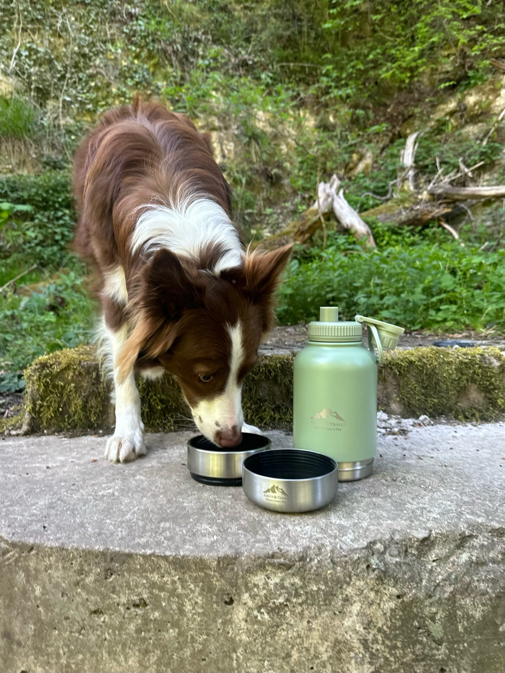 Fido's Trails 3-in-1 Water Bottle with Detachable Bowls – For Dogs & Owners, 1 Litre Sage Sage Sage