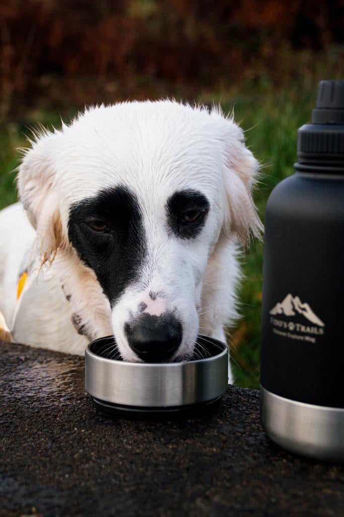Fido's Trails 3-in-1 Water Bottle with Detachable Bowls – For Dogs & Owners, 1 Litre Black 3-in-1 Water bottle Black Black