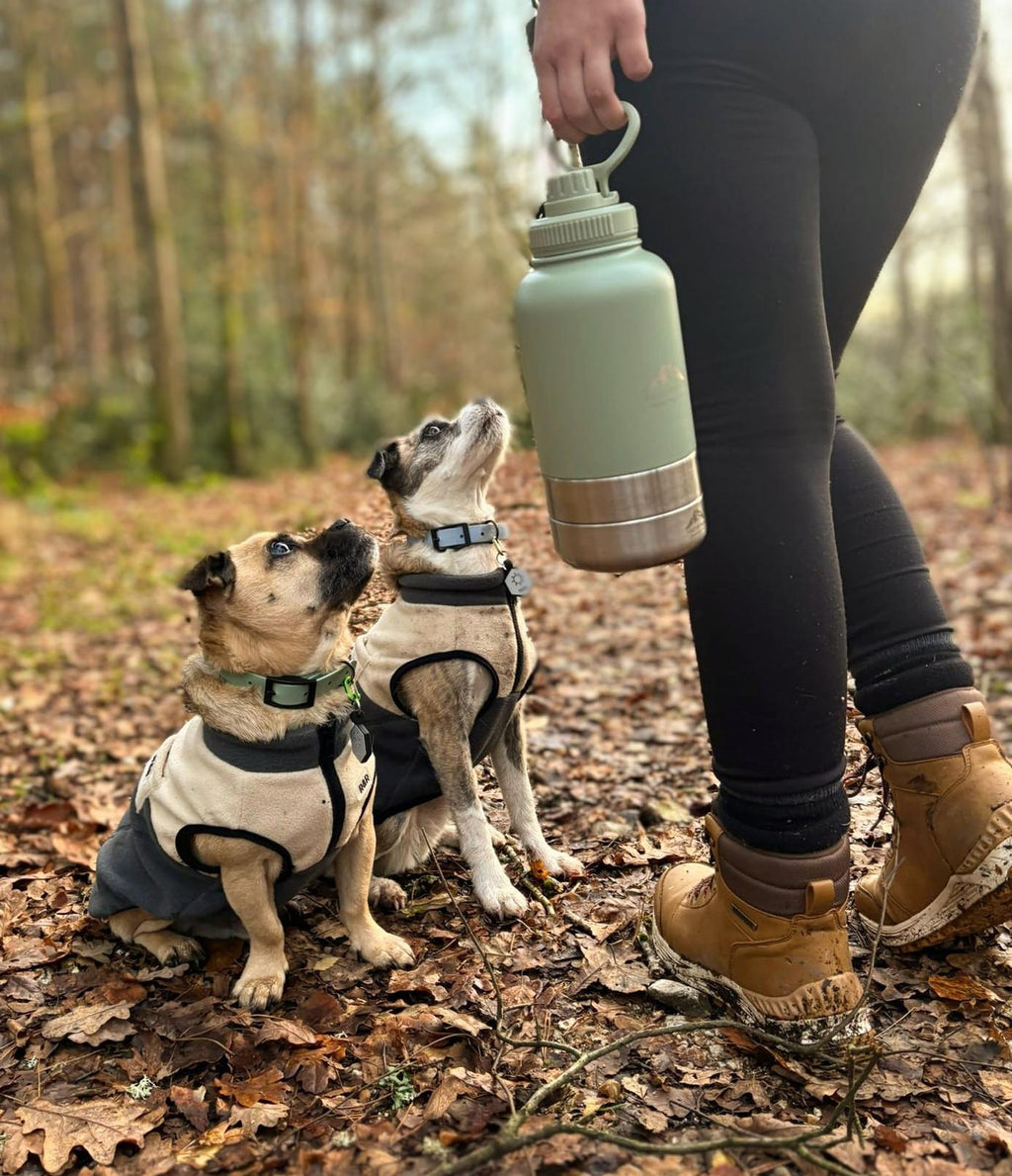 Fido's Trails 3-in-1 Water Bottle with Detachable Bowls – For Dogs & Owners, 1 Litre Sage Sage Sage