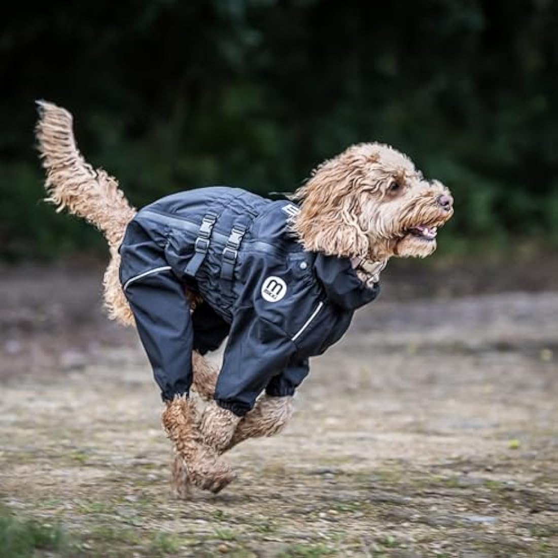 Mikki Doodles Dog Raincoat, Waterproof, Windproof, Silky Lining, Less Friction Means Less Knots & Tangles, Size Small, Black Raincoats Default Title Default Title