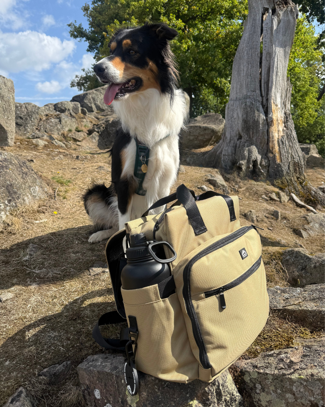 Weekender Travel Bag & Insulated Food Bag Default Title Default Title
