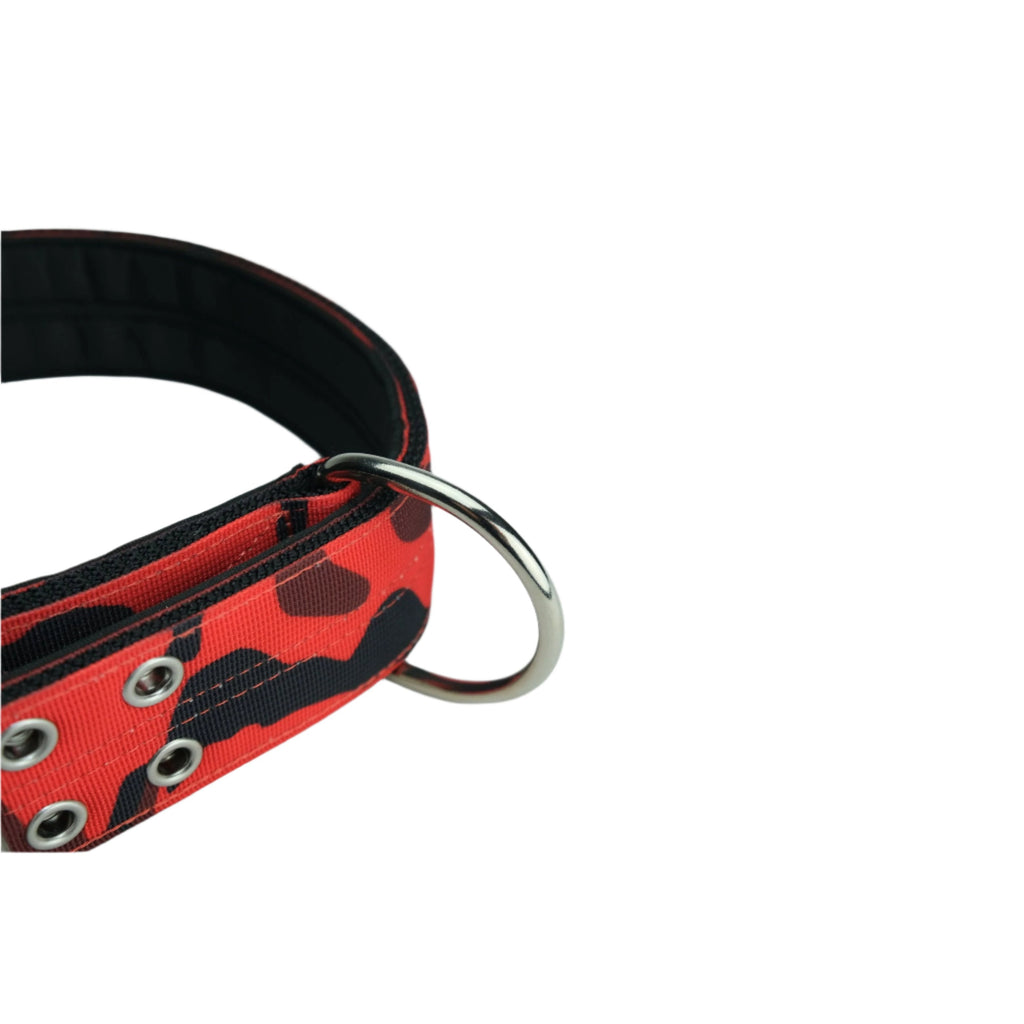 5cm Sport Collar Red Camo Pet Collars & Harnesses Medium Medium Large
