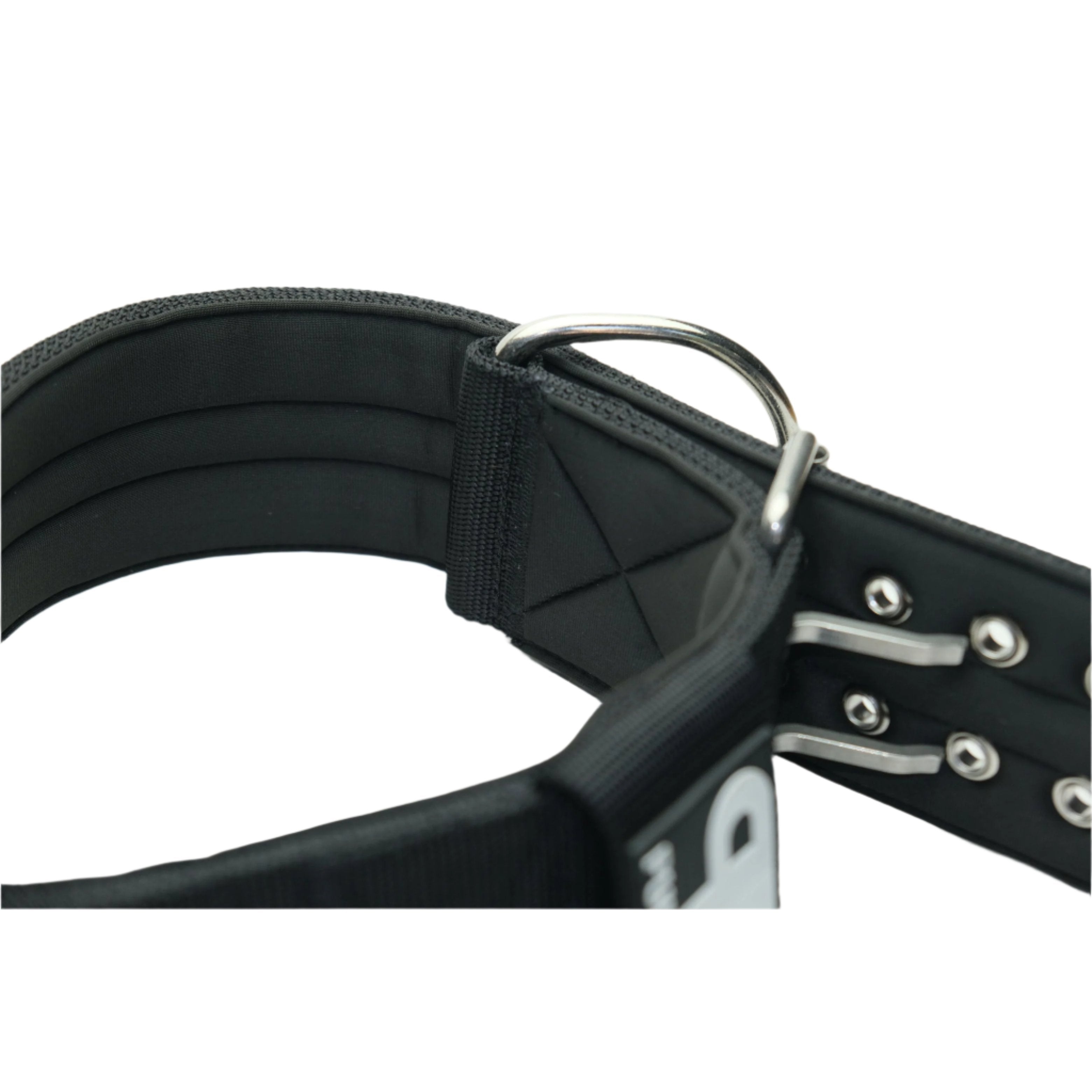 7cm Sport Collar Black Pet Collars & Harnesses Medium Nylon Medium / Nylon Large / Nylon XL / Nylon