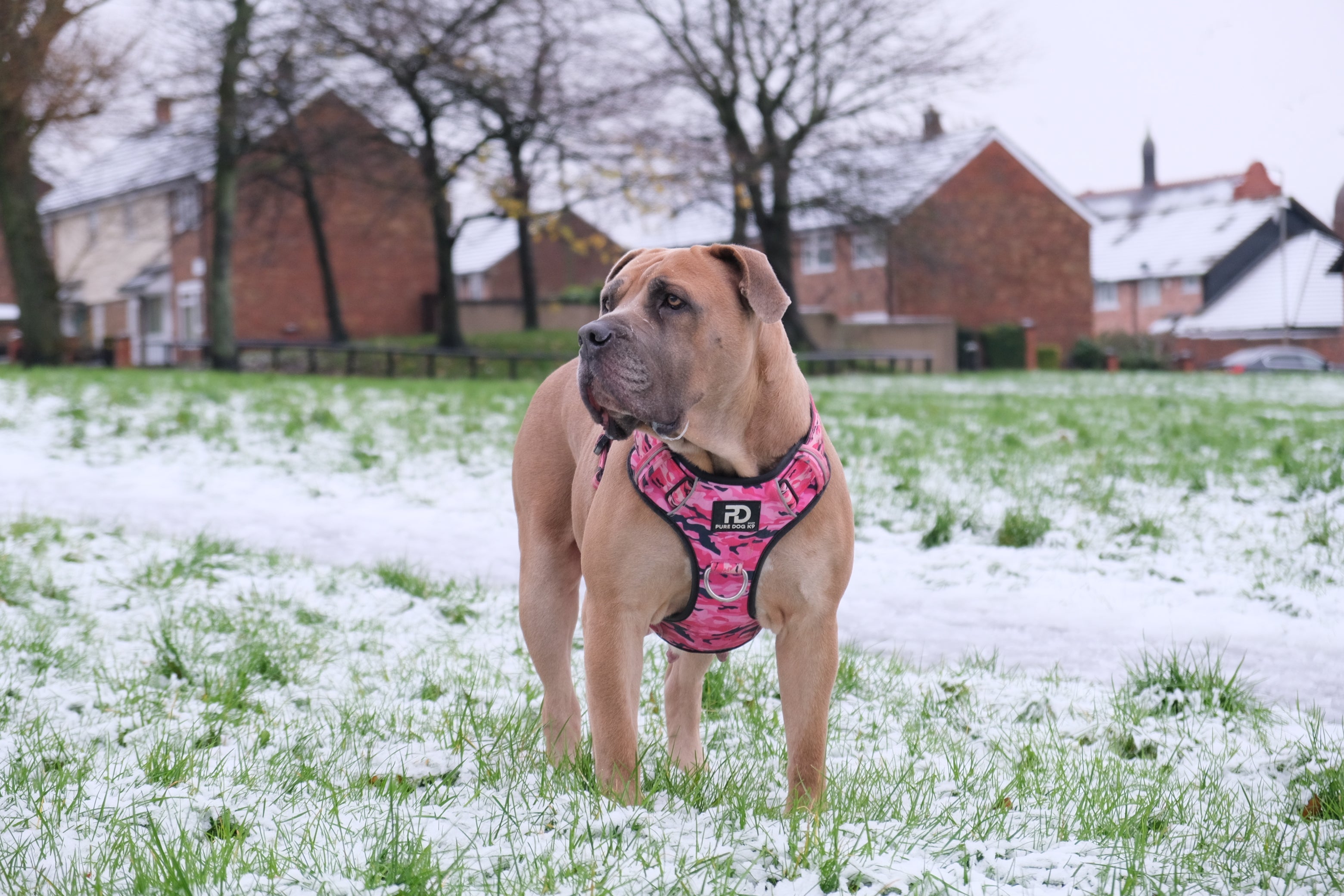 Comfort Harness Pink Camo Dog harness Small Small Medium Large XL