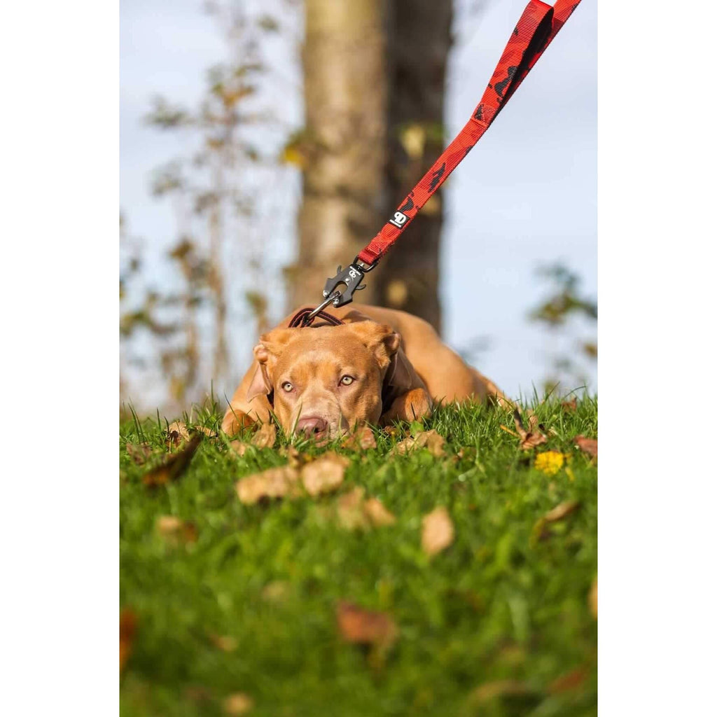 150cm Sport Lead Red Camo Dog Lead Default Title Default Title