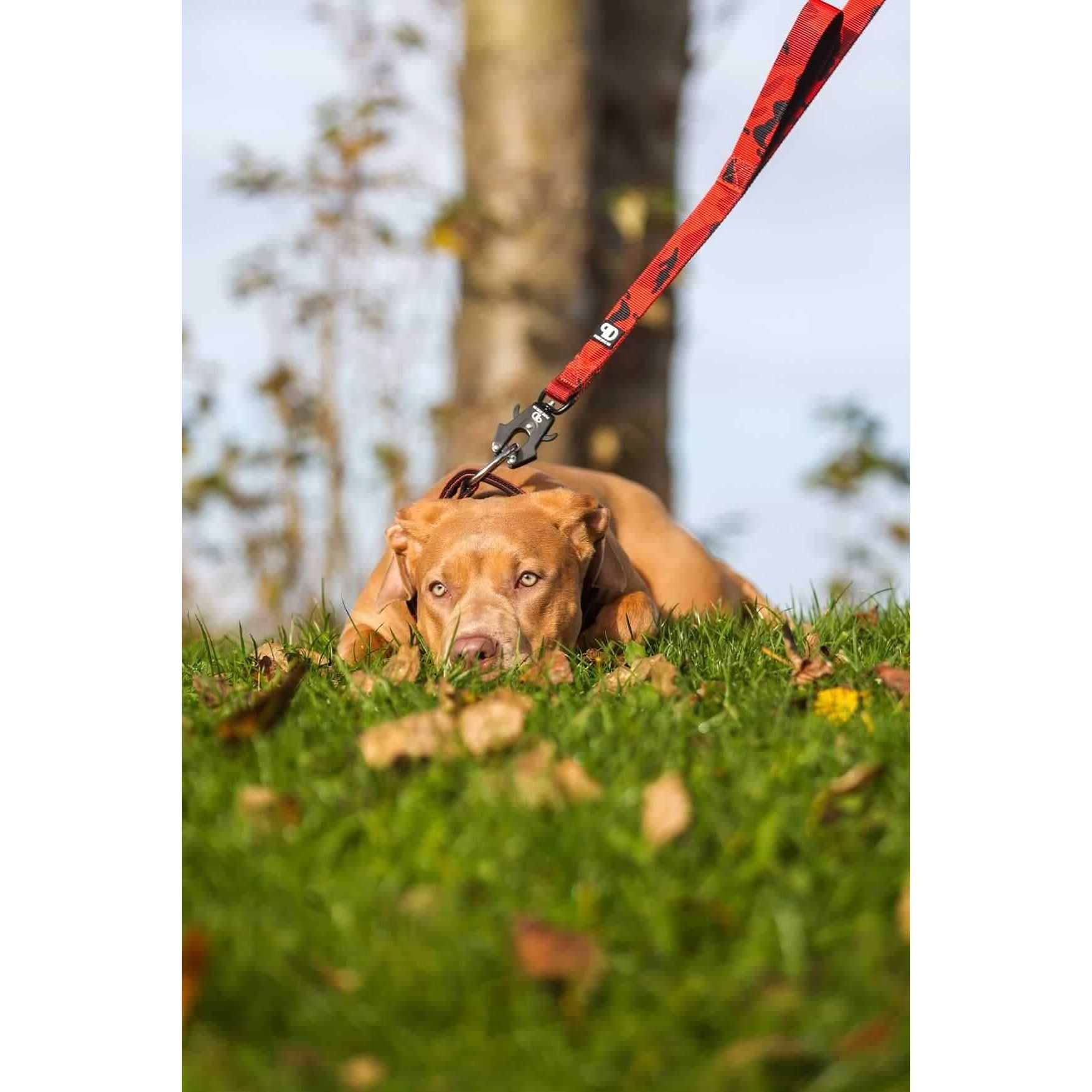 150cm Sport Lead Red Camo Dog Lead Default Title Default Title