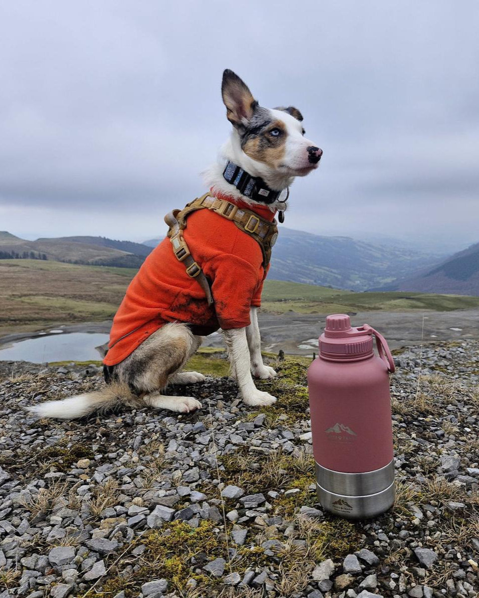 Fido's Trails 3-in-1 Water Bottle with Detachable Bowls – For Dogs & Owners, 1 Litre Rosewood Rosewood Rosewood