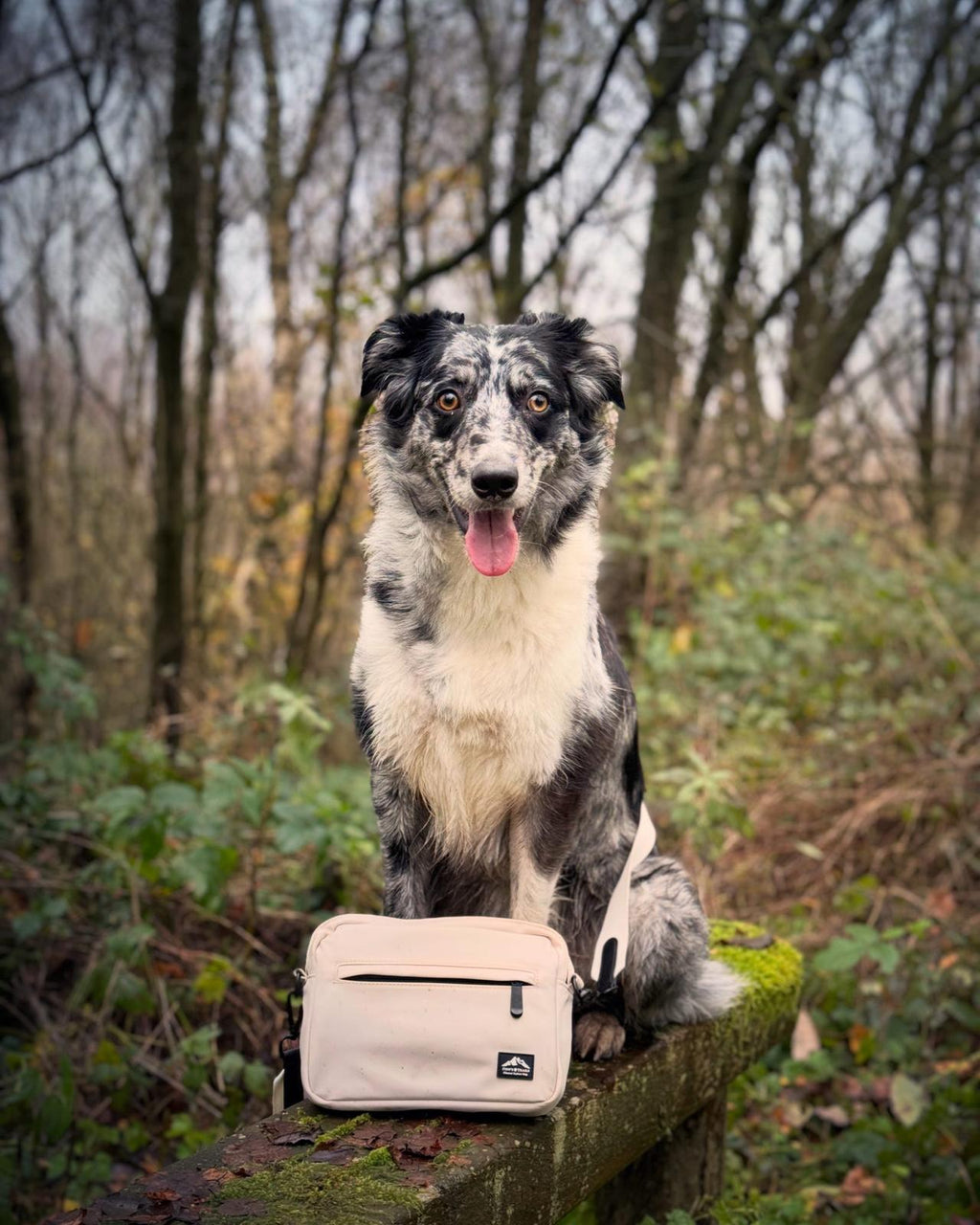 Dog Walking Bag with Mini Treat Pouch - Stone | Fido's Trails Default Title Default Title