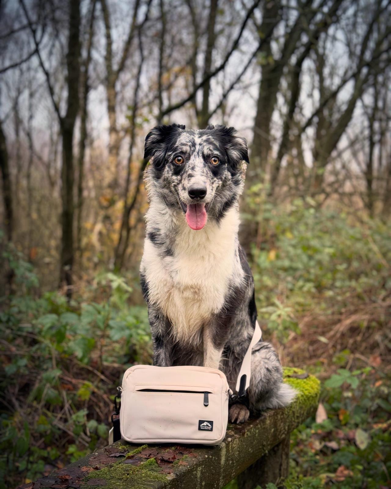 Dog Walking Bag with Mini Treat Pouch - Stone | Fido's Trails Default Title Default Title