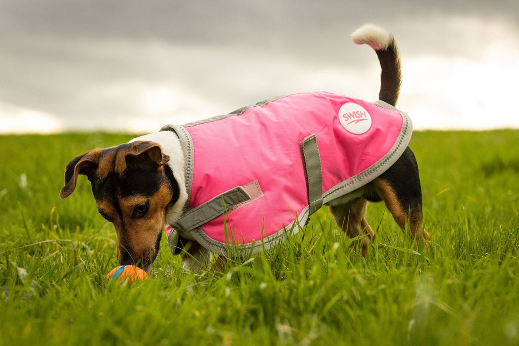 Waterproof Dog Coat - High Viz Pink