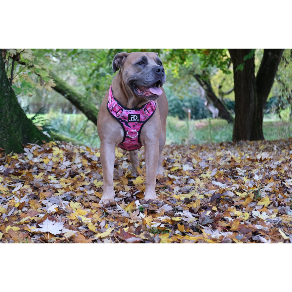 Comfort Harness Pink Camo Dog harness Small Small Medium Large XL