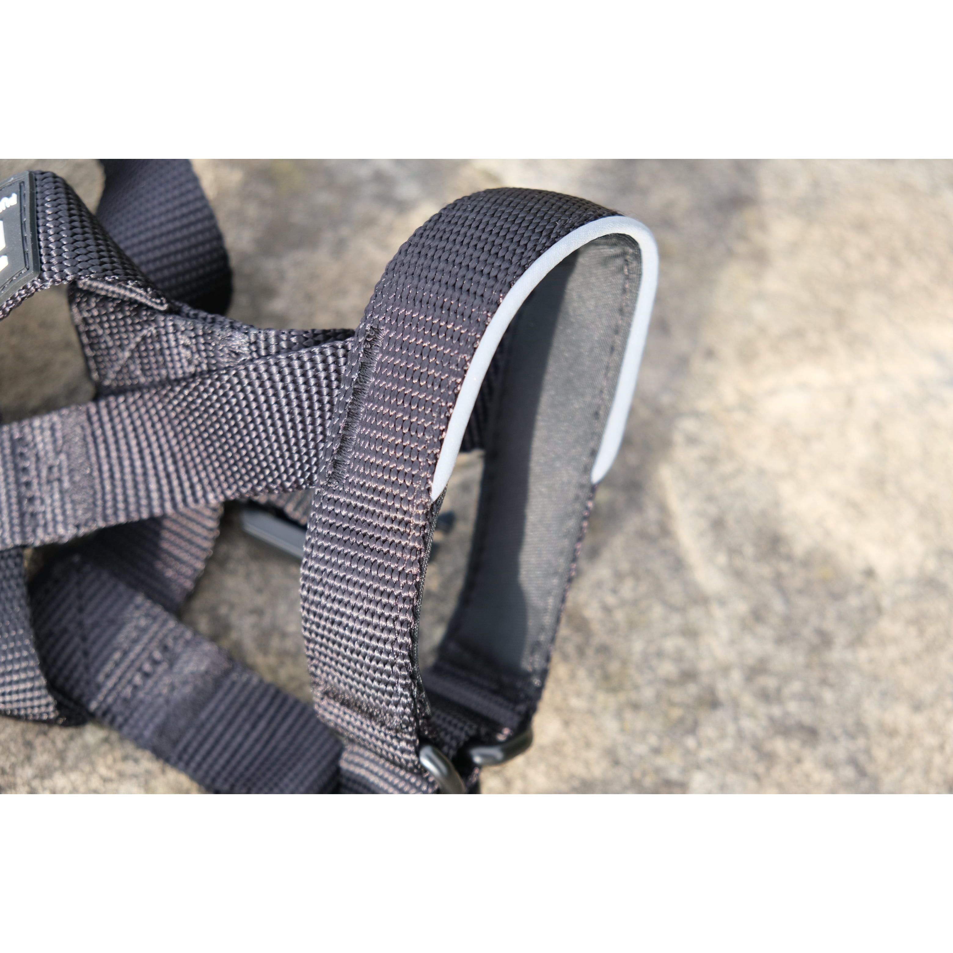 2.5cm Head Collars Dog Supplies Small Small Medium Large XL
