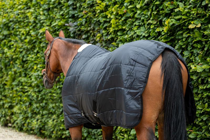 100g Horse Under Rug With Surcingles