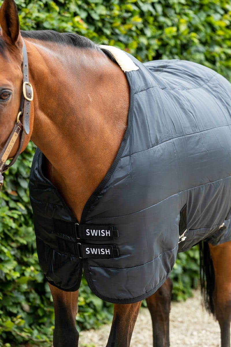 100g Horse Under Rug With Surcingles