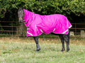 50g Detachable Neck Turnout Rug - Mulberry