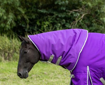 50g Purple Turnout Rug Neck Cover