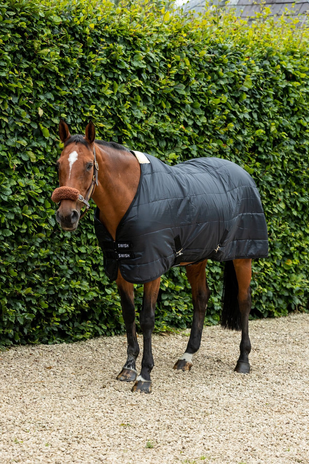 100g Horse Under Rug With Surcingles